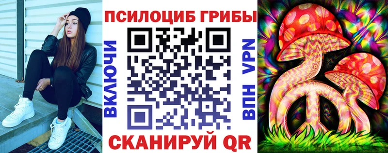 Купить где  Зверево  Галлюциногенные грибы Cubensis 